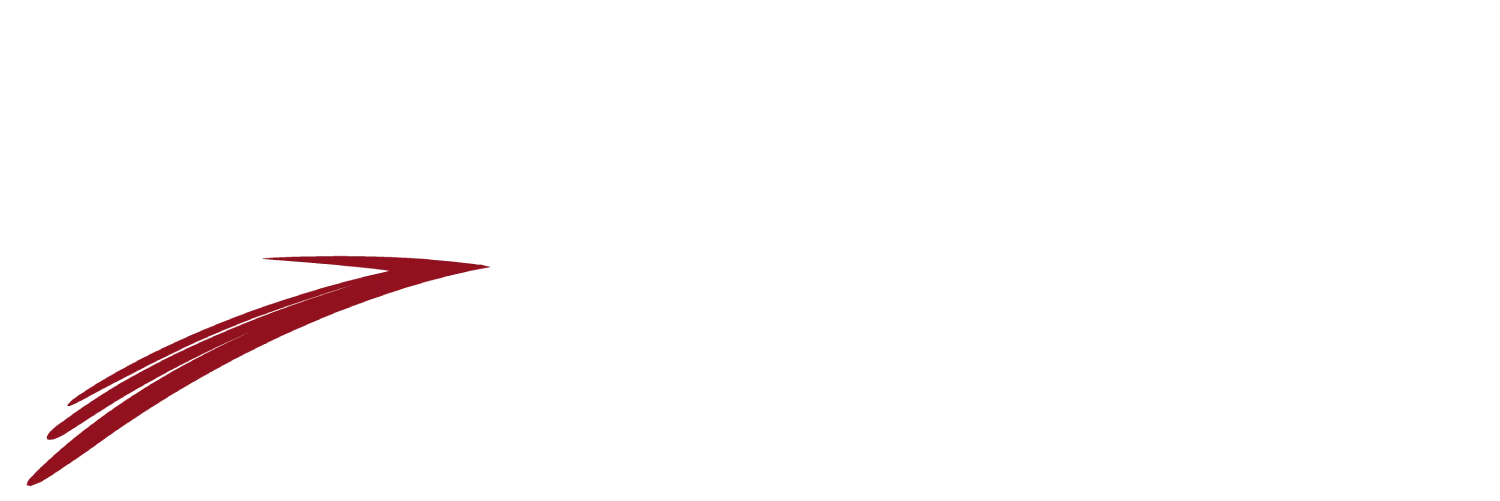 Aero Bravo