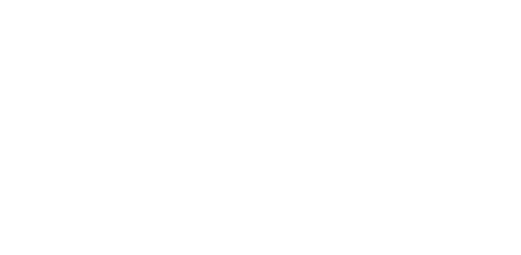 Aero Bravo
